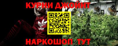 мдпв Гусев